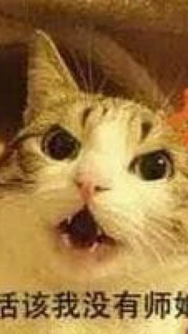 师徒系列表情包 线上游戏值得拥有！