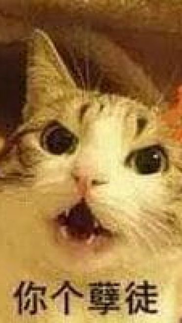 师徒系列表情包 线上游戏值得拥有！