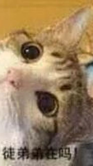 师徒系列表情包 线上游戏值得拥有！