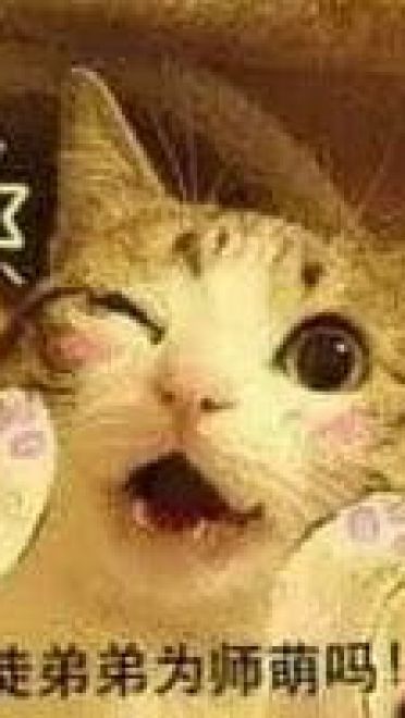 师徒系列表情包 线上游戏值得拥有！