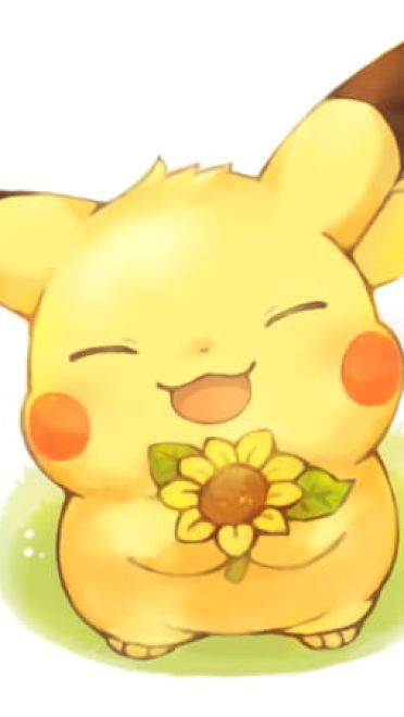 Pokemon GO 我的皮卡丘不可能这么酷 手机主题