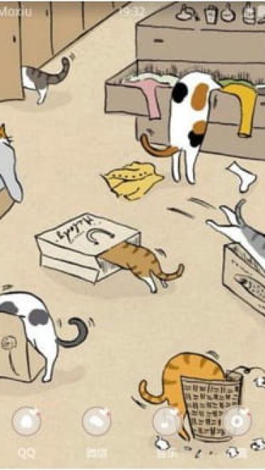 家有喵星人 安卓手机主题下载