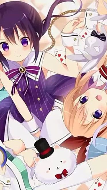 请问今天要来点兔子吗？精美桌面壁纸下载