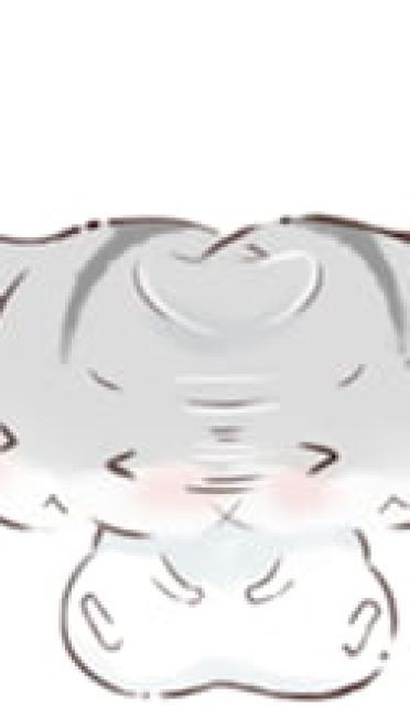 hamham小仓鼠 表情包全套 超级可爱