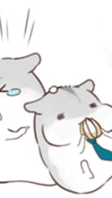 hamham小仓鼠 表情包全套 超级可爱