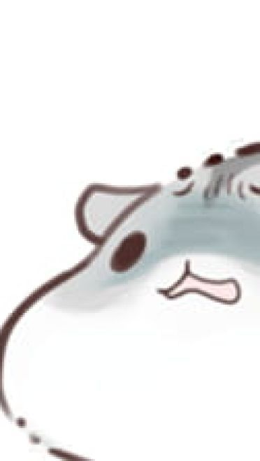 hamham小仓鼠 表情包全套 超级可爱