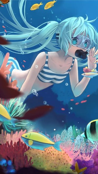 水中世界 桌面壁纸 献给孙杨