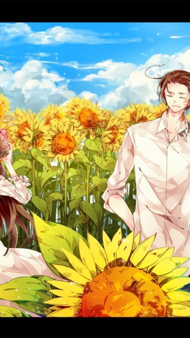 喜欢大片的向日葵花田吗 向日葵桌面壁纸集
