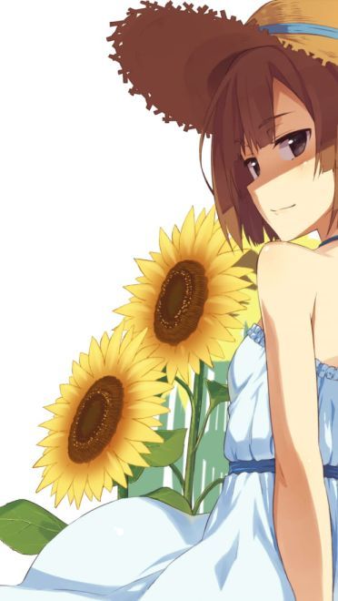 喜欢大片的向日葵花田吗 向日葵桌面壁纸集