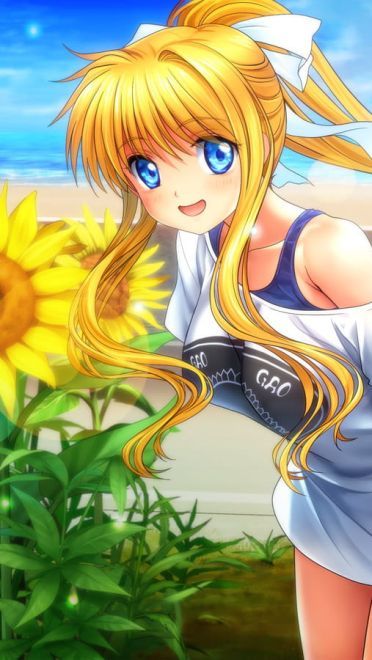 喜欢大片的向日葵花田吗 向日葵桌面壁纸集