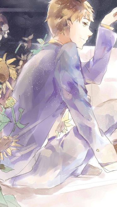 喜欢大片的向日葵花田吗 向日葵桌面壁纸集