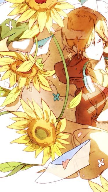 喜欢大片的向日葵花田吗 向日葵桌面壁纸集