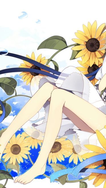 喜欢大片的向日葵花田吗 向日葵桌面壁纸集