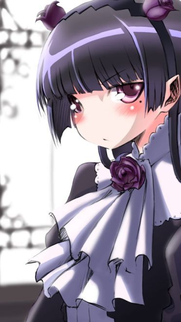 五更琉璃 黑猫手机壁纸下载