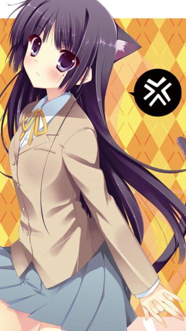 五更琉璃 黑猫手机壁纸下载