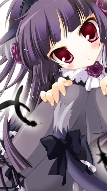 五更琉璃 黑猫手机壁纸下载