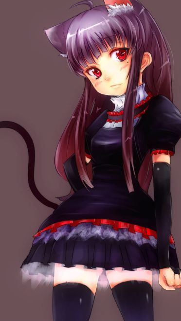 五更琉璃 黑猫手机壁纸下载