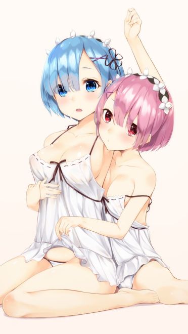 从零开始的异世界 蕾姆拉姆双子电脑壁纸(1)