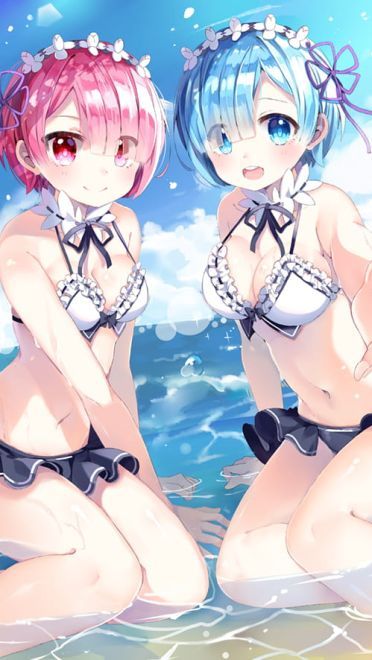 从零开始的异世界 蕾姆拉姆双子电脑壁纸(1)