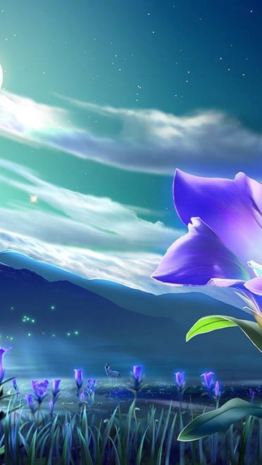 清新的风景 自然且恬静 献给暑期的尾声