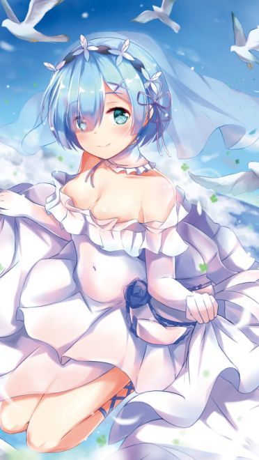 P站精选 Re 蕾姆壁纸 福利图集下载