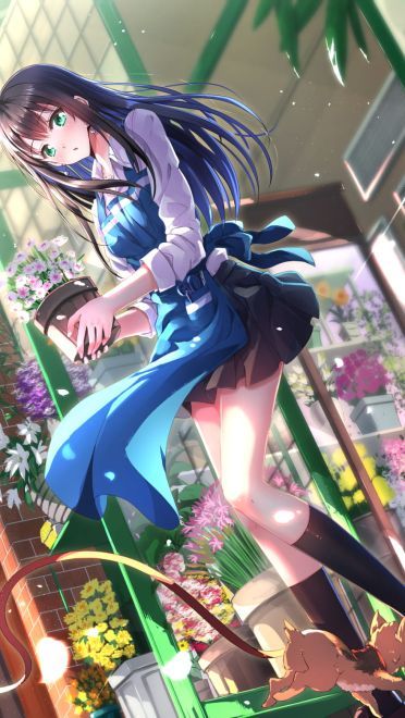 偶像少女 偶像大师灰姑娘女孩 涩谷凛