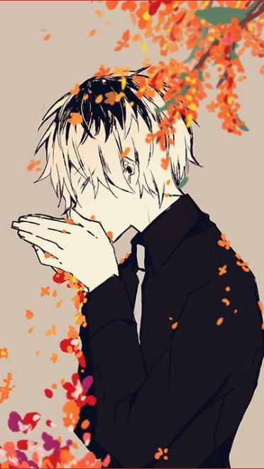 东京吃货 金木小天使  手机壁纸