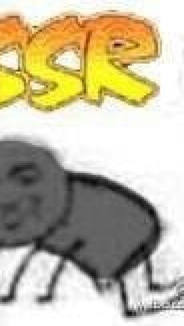 网易(非洲)阴阳师 专用表情包下载