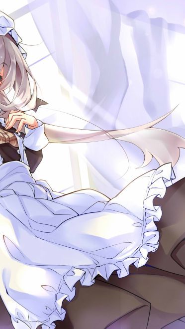 家中辛勤的身影 女仆壁纸图集