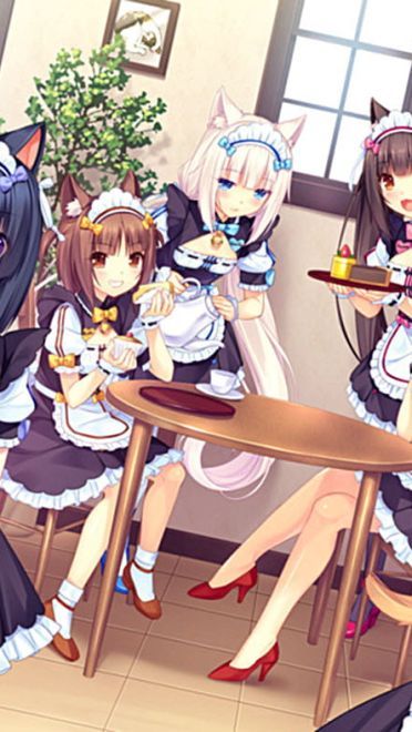 家中辛勤的身影 女仆壁纸图集