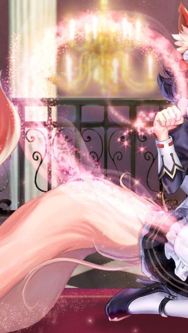 家中辛勤的身影 女仆壁纸图集