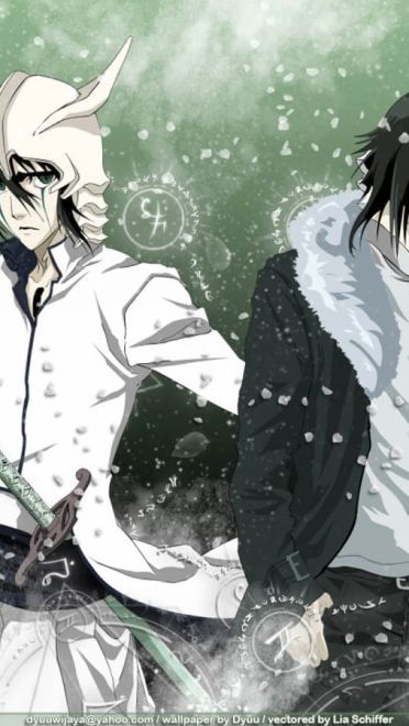 死神 黑崎一护&朽木露琪亚 高清电脑壁纸下载第一发(1)