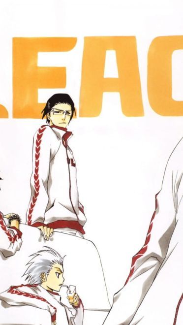 死神 黑崎一护&朽木露琪亚 高清电脑壁纸下载第一发(1)