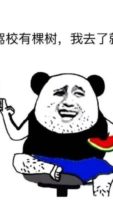 掐架撕逼 驾校学车专用表情包下载