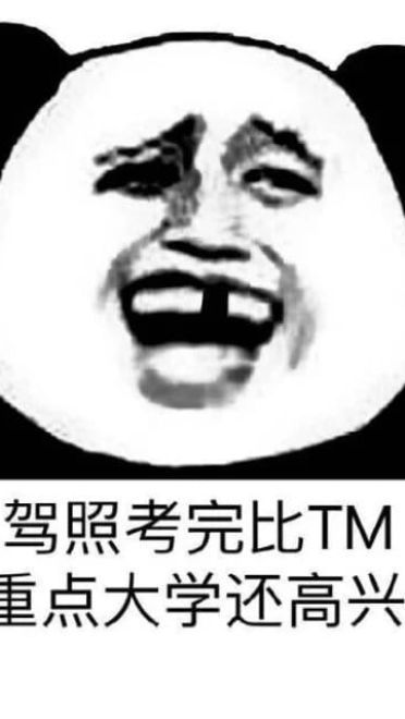 掐架撕逼 驾校学车专用表情包下载