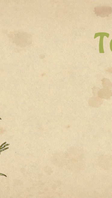 宫崎骏电影 龙猫 高清电脑壁纸下载