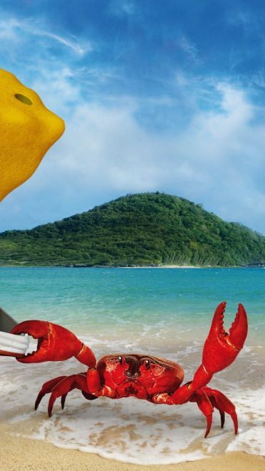 黄色方块海绵 海绵宝宝 高清电脑壁纸下载(1)