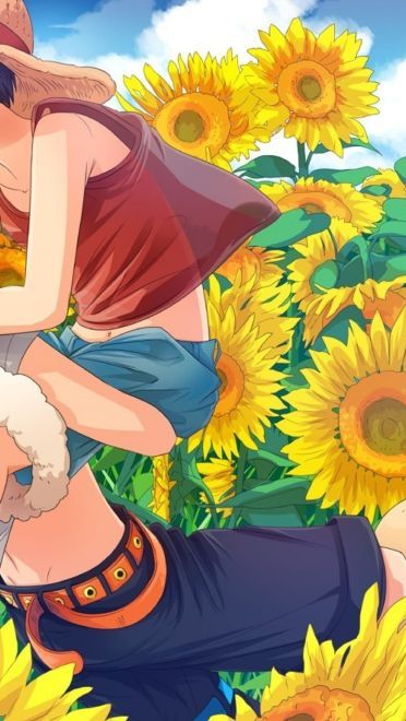 海贼王 路飞 高清电脑壁纸下载第五辑(1)