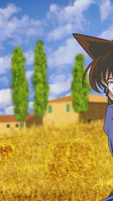 名侦探柯南 高清电脑图包(1)