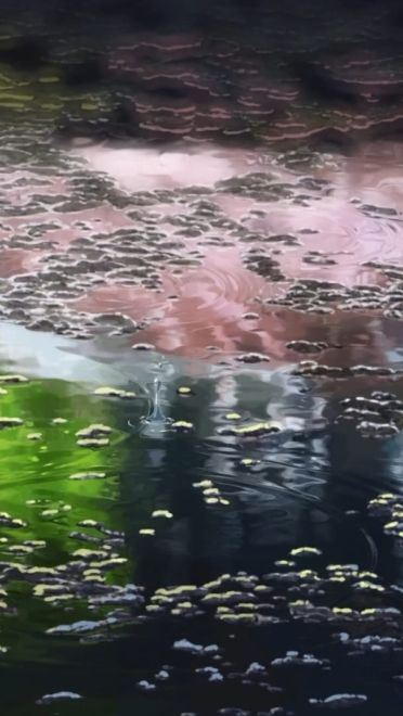 新海诚 言叶之庭&动漫风景 高清电脑壁纸下载(1)