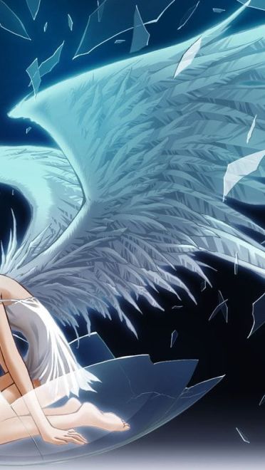 新世界福音战士 绫波丽 高清电脑壁纸下载