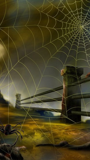 万圣节 高清电脑壁纸下载(1)