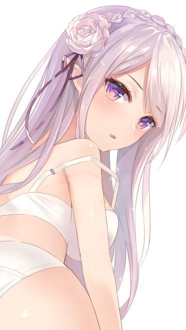 从零开始的爱蜜莉雅 动漫手机壁纸下载