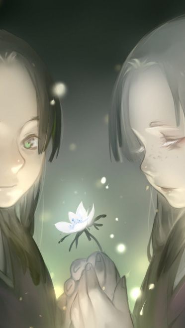 光怪陆离 虫师 动漫电脑壁纸下载