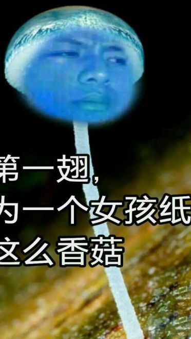 蓝瘦香菇 表情包 蓝瘦香菇在这里