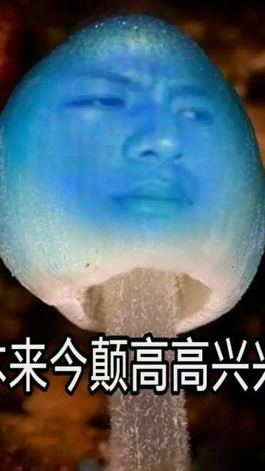 蓝瘦香菇 表情包 蓝瘦香菇在这里