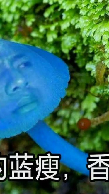 蓝瘦香菇 表情包 蓝瘦香菇在这里