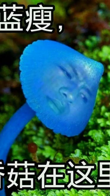 蓝瘦香菇 表情包 蓝瘦香菇在这里