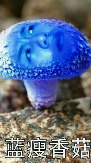 蓝瘦香菇 表情包 蓝瘦香菇在这里