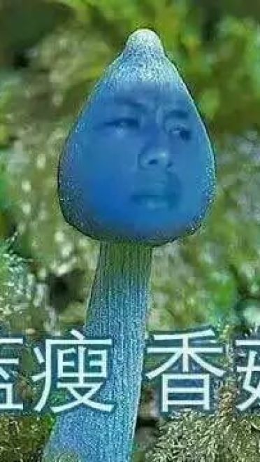 蓝瘦香菇 表情包 蓝瘦香菇在这里